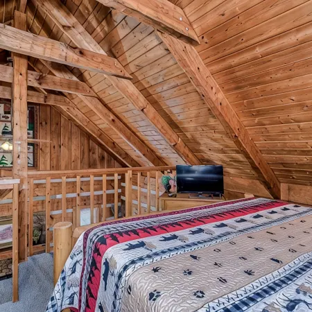 Twin Bear I, A Cozy Cabin in the Woods, with Level 2 EV Charger!