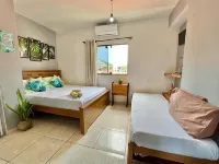 Chamos Hostel Cultural - Hostels