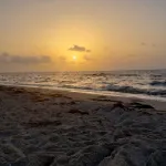 Beach Bungalow Steps from Beach! <br>TX Registration#305170 - balcony