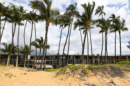 Exceptionally Remodeled Oceanfront, Sunsets,  A/C, King bed Hale Kai O Kihei - พร้อมWifi