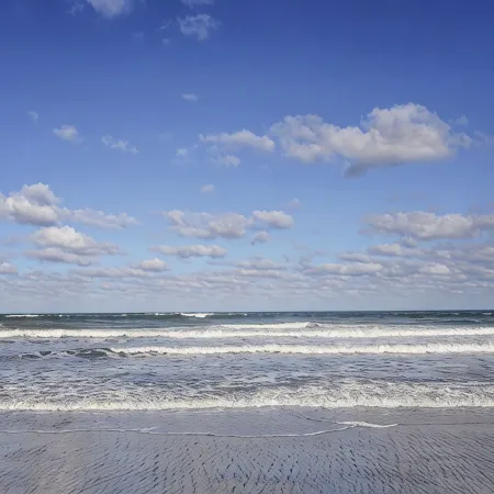 Ocean Front Beach Den -Near Mayo Clinic
