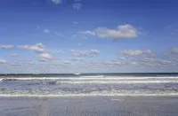 Ocean Front Beach Den -Near Mayo Clinic - 4-Star