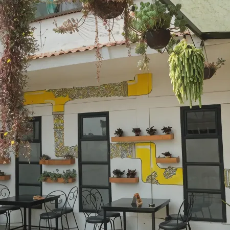 Yakety Yak Hostel