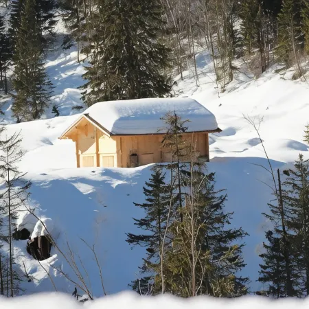 Hotel-Restaurant Alpina