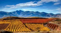 Hostal Hispano Hotels in Anguiano