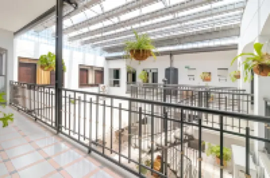 Ayenda Oporto Suites