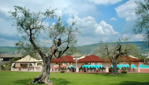 Hotel Degli Ulivi Hotels in Ferrandina
