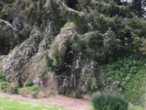 Manoir de Penn Lann Hotels in Paimpol