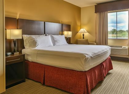 Holiday Inn Express & Suites Houston South - Pearland