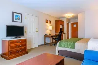 Comfort Inn & Suites Các khách sạn ở South Burlington