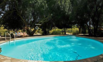 a large outdoor swimming pool surrounded by trees , with several lounge chairs placed around it at Mara Intrepids Tented Camp