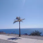 Forrest Hotel Huatulco Hotels in Tangolunda