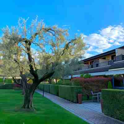 Hotel Ulivi Hotel Exterior