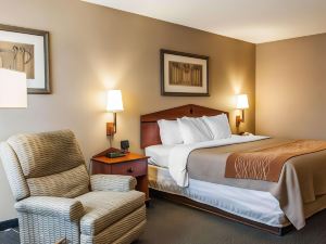 Comfort Inn Near Indiana Premium Outlets