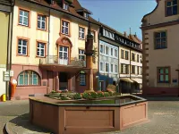 Tiptop Hotel Garni Pfauen Hotel a Vogtsburg im Kaiserstuhl