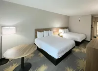 Days Inn by Wyndham LaPlace- New Orleans - Pools