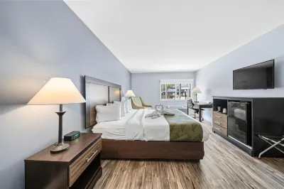 Quality Inn & Suites Tampa-Ybor City Các khách sạn ở Tampa