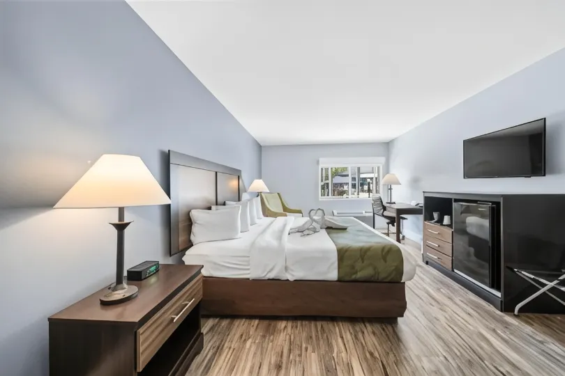 Quality Inn & Suites Tampa-Ybor City