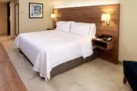 Holiday Inn Express Guadalajara Aeropuerto Hotels in Las Pintas