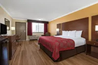 Ramada by Wyndham Tampa Westshore Airport South Hotel dekat Tampa Peter O'Knight Apt