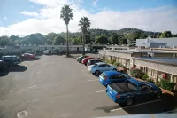 Jacksons Motor Inn - Motel
