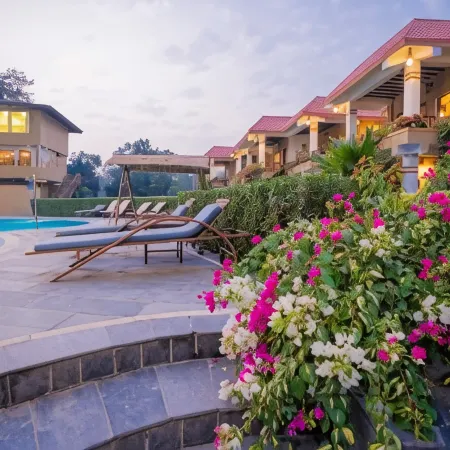Hotel Jungle Crown