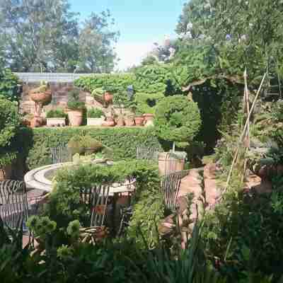 Topiary Haven Hotel Exterior