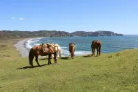 Refugio Parque Tepuhueico Zona Costa Hotels in Chonchi