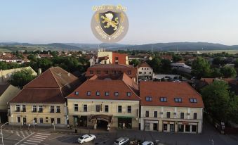 Hotel Leul de Aur
