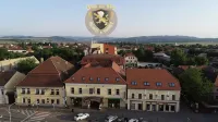Hotel Leul de Aur Hotels in 