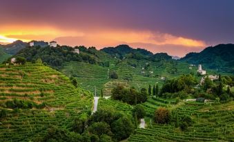 Tenuta Castagnera