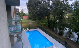 Little Pigeon River 309 1Bd Condo with River View Private Balcony by RedAwning