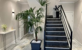 Haya Guest House