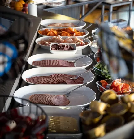 Oppdal Gjestetun Hotell Отели в г. Oppdal Municipality