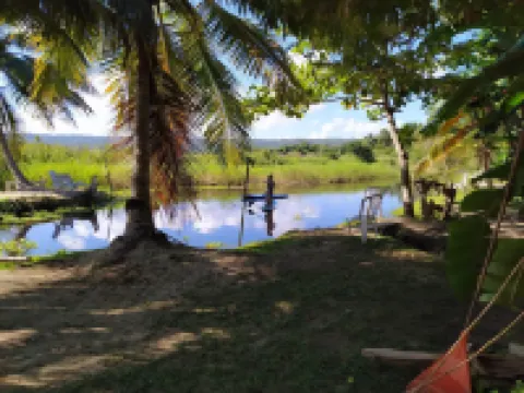 Method Living Tropical Edition 50024