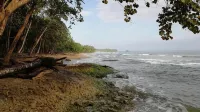 Villas del Caribe - Beach