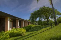 Tanoa International Hotel Hotels in Nadi