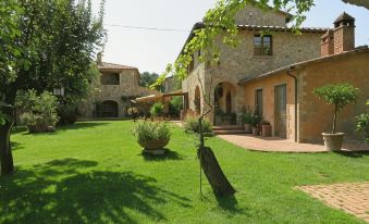 Il Baraccotto