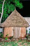 Zanzigo