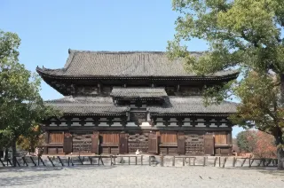 교토 인기 체험