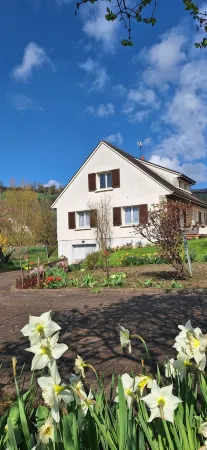 Les Glycines - Maison Avec bel Extérieur