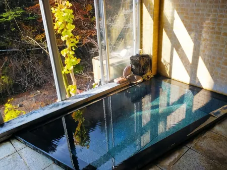 Morimata Ryokan Отели рядом с достопримечательностью «Shibu Mountain Pass Romance Lift.»