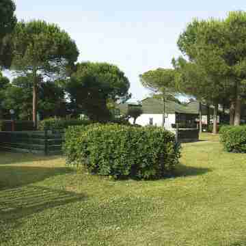 Dog's Bungalow Hotel Exterior