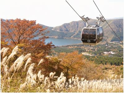 ホテル周辺 ホテル花月園の写真