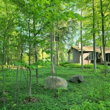 West Bay House Private Frontage in Traverse City