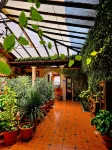 Hotel San Luis Hotele w: 