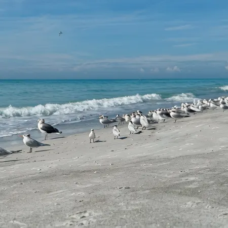 Charming Longboat Key Bungalow Minutes from Beaches, Restaurants, Parks