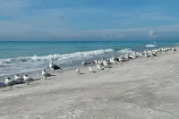 Charming Longboat Key Bungalow Minutes from Beaches, Restaurants, Parks