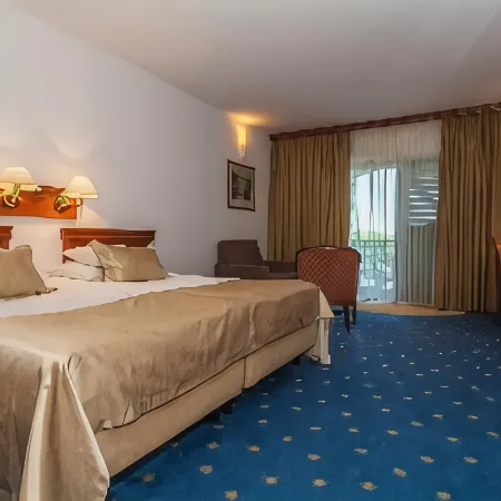 Hotel Villa Radin