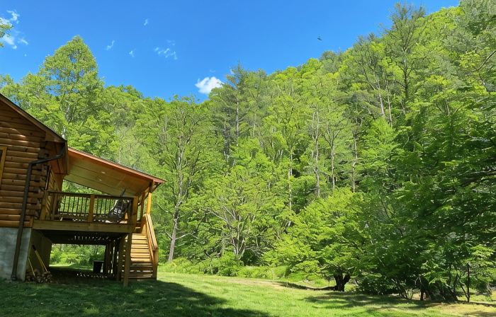 New 2/2 Log Cabin, Rushing Trout Stream, Hot Tub, Fireplace, 8 Acres, WiFi